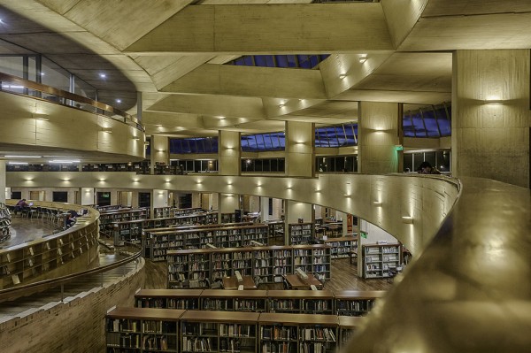 Una Inmersión Dorada